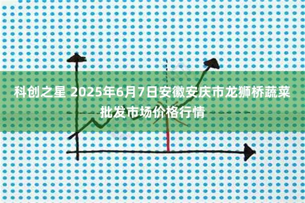 科创之星 2025年6月7日安徽安庆市龙狮桥蔬菜批发市场价格行情
