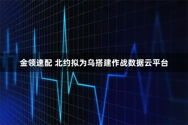 金领速配 北约拟为乌搭建作战数据云平台