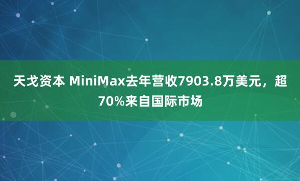天戈资本 MiniMax去年营收7903.8万美元，超70%来自国际市场